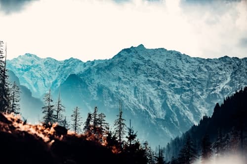 Shangrila Group Nepal